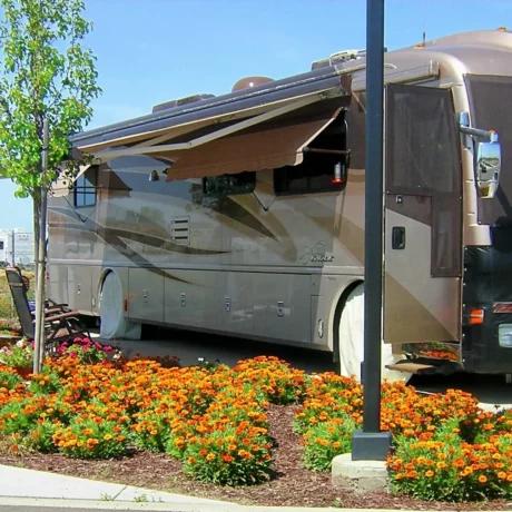 A row of large RVs parked on wide, paved sites at Flag City RV Resort in Lodi, CA.