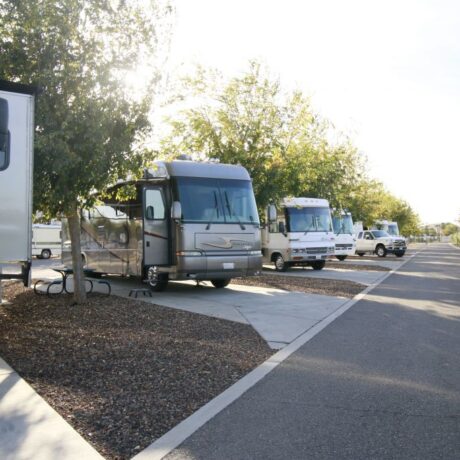 A row of large RVs parked on wide, paved sites at Flag City RV Resort in Lodi, CA.