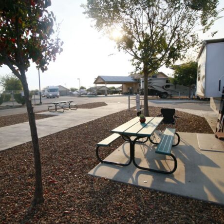 A row of large RVs parked on wide, paved sites at Flag City RV Resort in Lodi, CA.