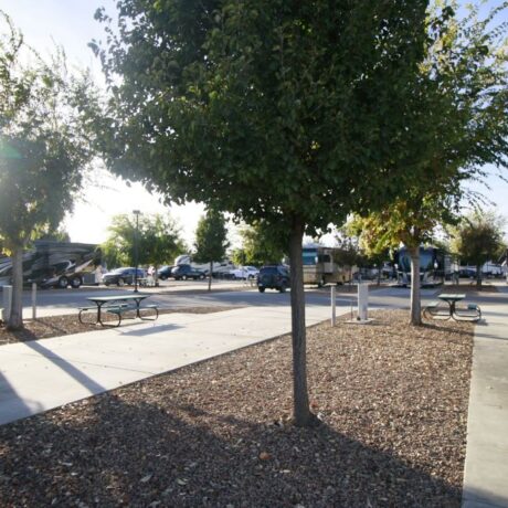 A row of large RVs parked on wide, paved sites at Flag City RV Resort in Lodi, CA.